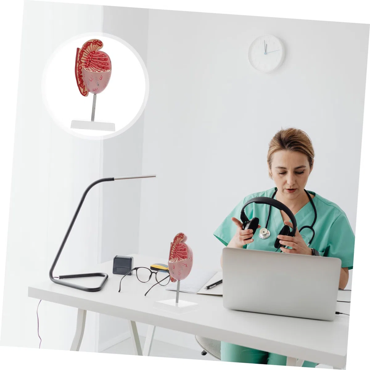 Männliches Anatomiemodell Flexibles Lehrmittel Für Humanorgane Material Realistische Details Für Anatomieunterricht Und Ausbildung Für Schüler Und Interessierte