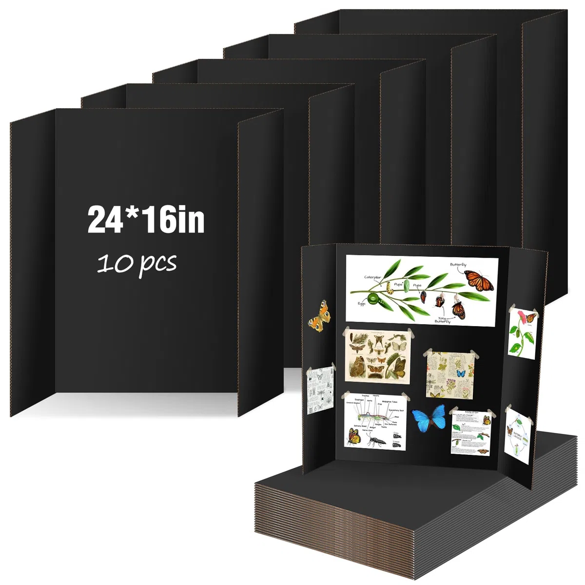 IKAYAS Dreifach gefaltete Postertafel, 61 x 40,6 cm, doppelseitige Postertafeln, Wissenschaftsmesse, Posterwand, Schaumstoffplatte für Montage, Drucke, Kunst, Ausstellungen, Projekte,